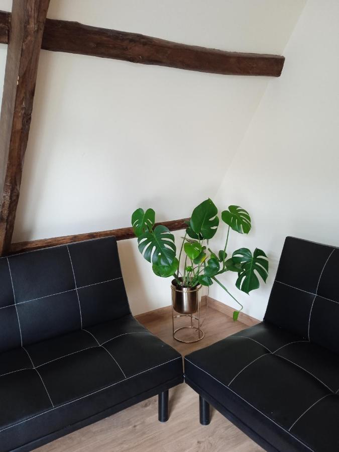 Albergue De Peregrinos Compostela 몰리나세카 외부 사진